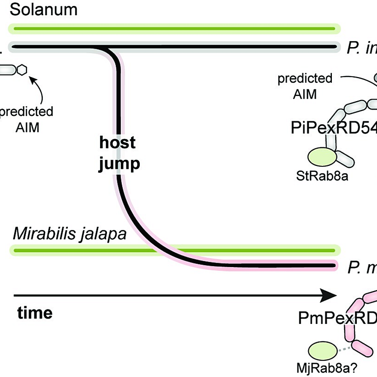 Figure from Zess et al (2022)