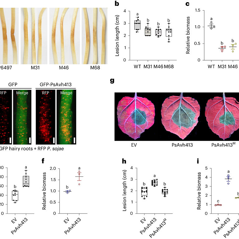 Figure from Zhu et al (2023)