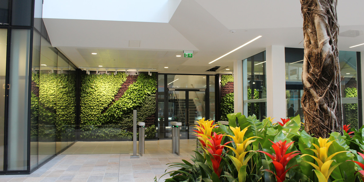 Office Plants, Indoor & Outdoor Plant Displays & Landscaping Services