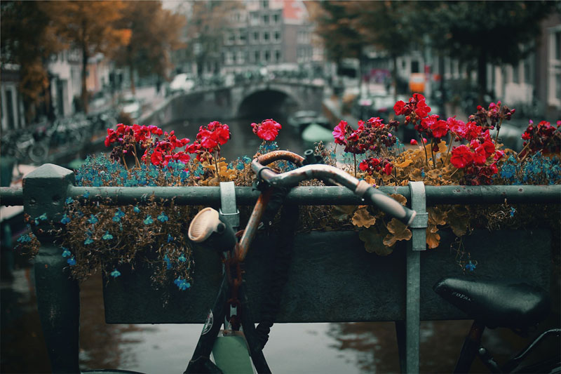 Best Venue Hire Amsterdam Discover Book With VenueScanner