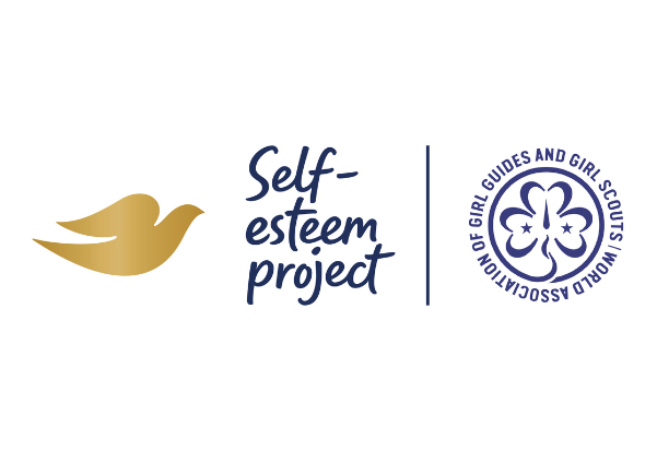 DSEP WAGGGS logo