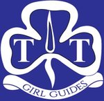 logo T&T new