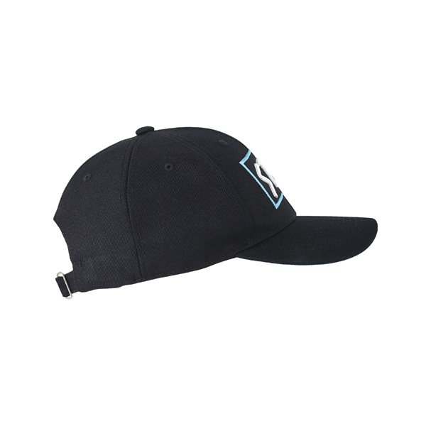 warrior addict baseball cap