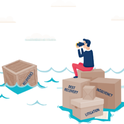 Recoveries Illustration