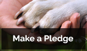 makePledge