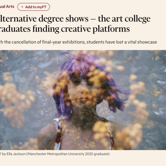 Financial Times: Alternative degree shows