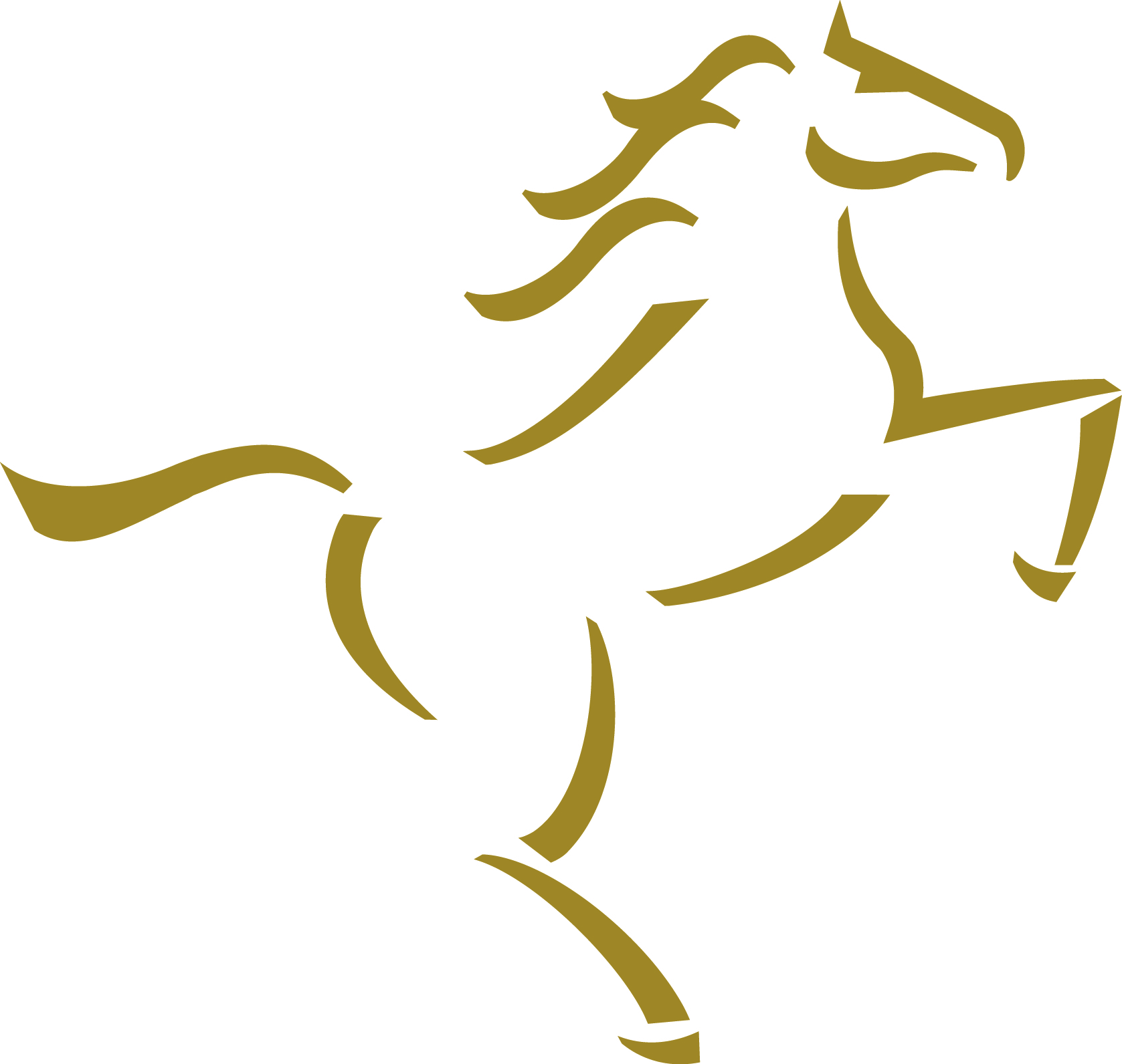 My59Mentor Learning Platform