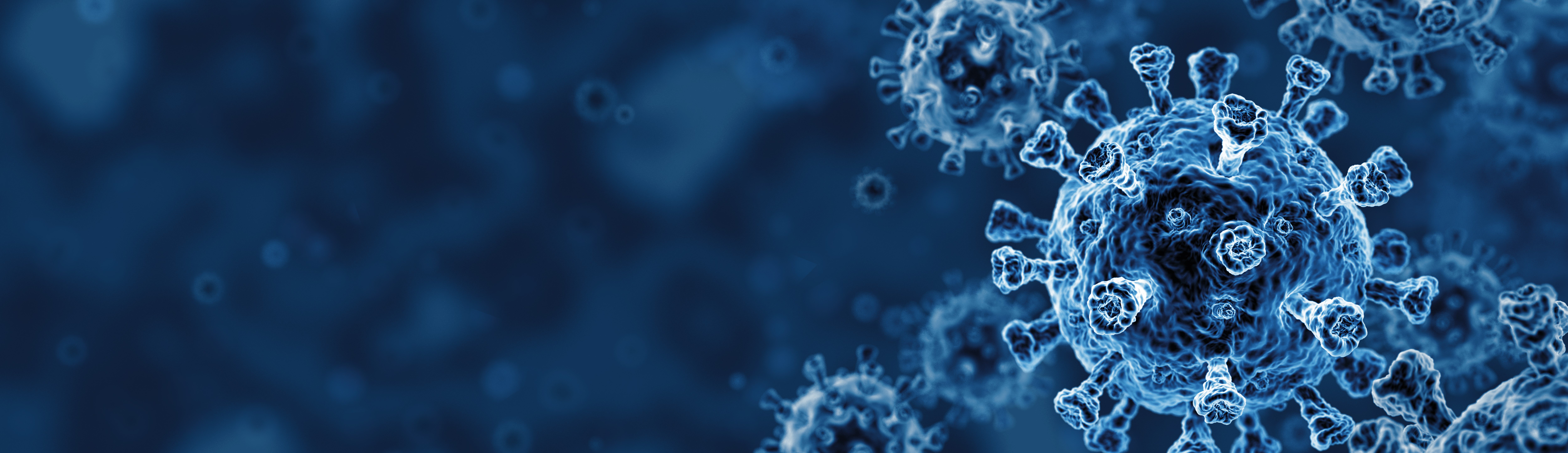 Virus cell