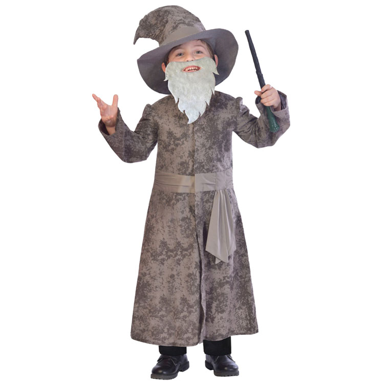 Wise Old Wizard