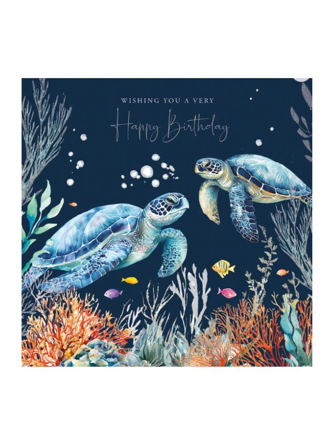 H/B Turtles