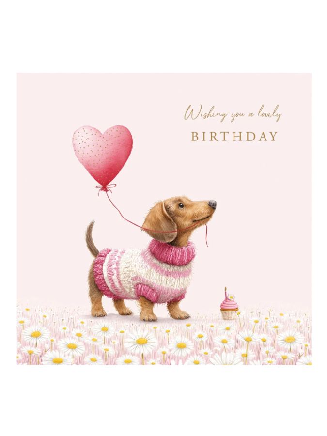 H/B Sausage Dog