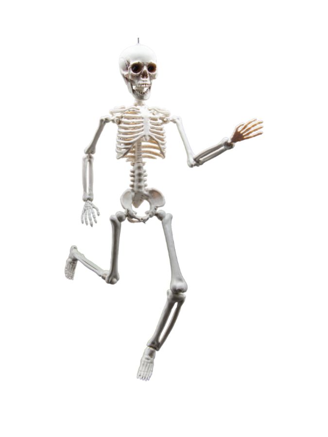 Skeleton 40cm
