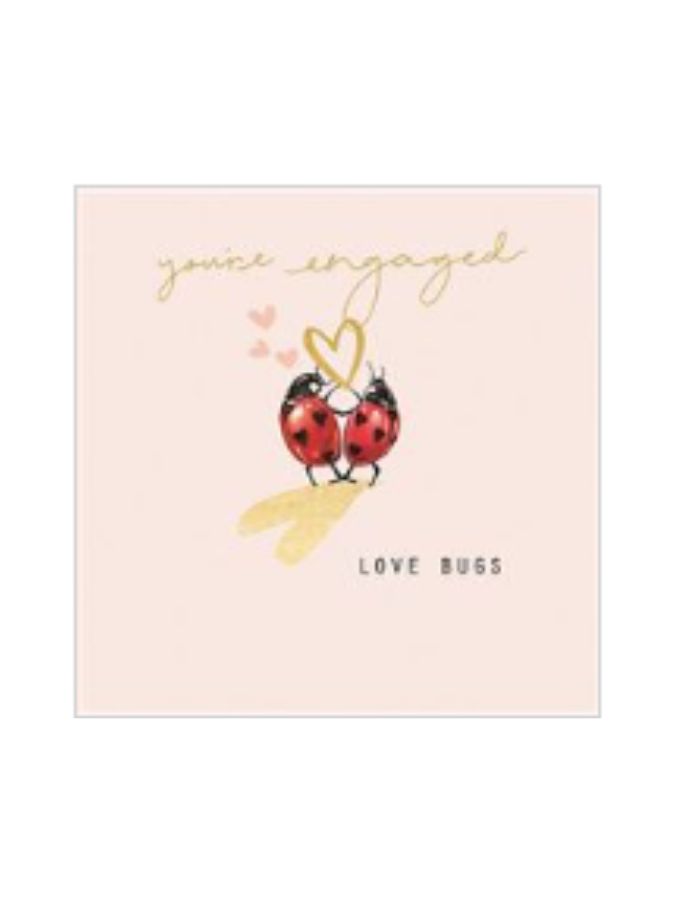 You're Engaged Ladybirds