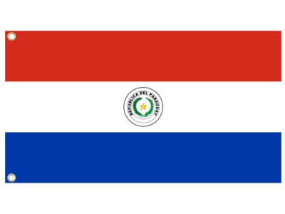 Paraguay Flag Cloth 5' x 3'