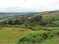 C0920202