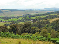 C0920203