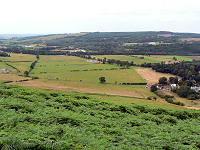 C0920204