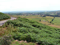 C0920205