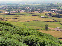 C0920206