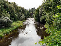 C1018806