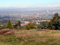 C1027303