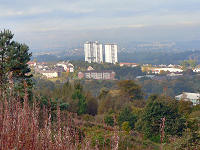 C1027305