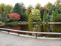 C1027313