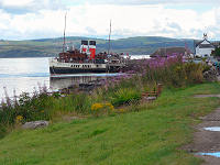 C1321919