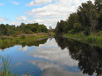 C1423609