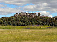 C1424302