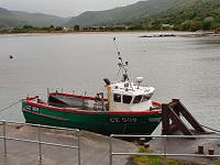 C1517204