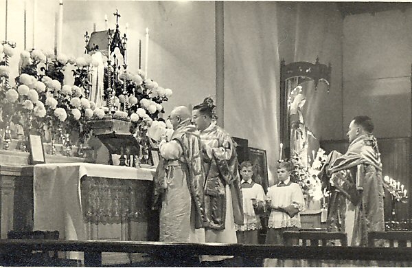 BFS341 : T. Gormley, Photographer, 113 Causewayside Street, Tollcross