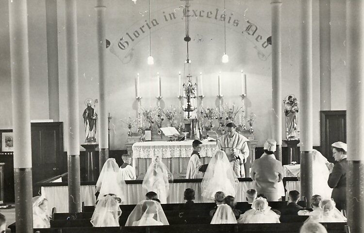 BFS406 : T Gormley, Photographer, 113 Causewayside Street