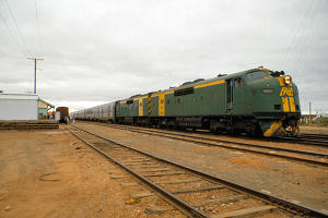 2600