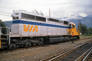 3135