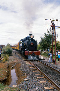 1131