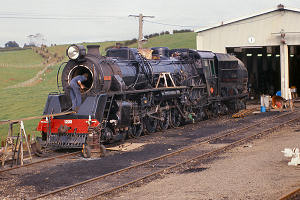 1253