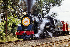 1331