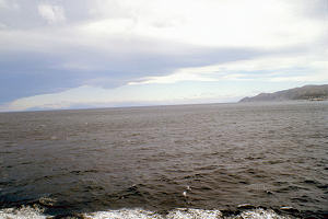 1817