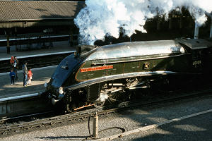 0499