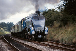 3902