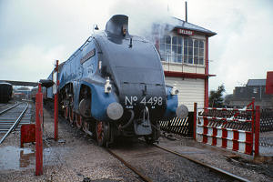 3921