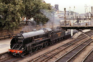 3932