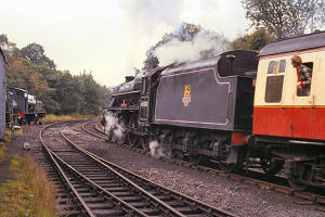 3956