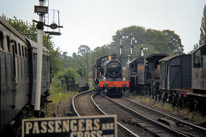 4459