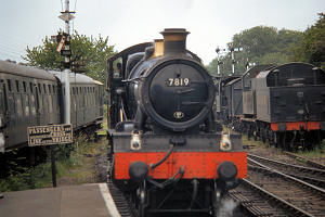 4463