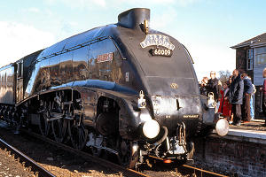 4509