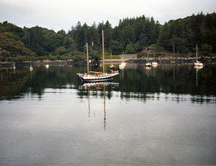 N2523
