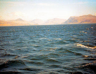 N3016