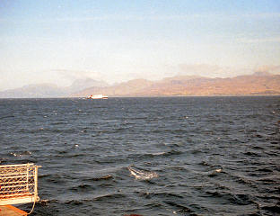 N3018